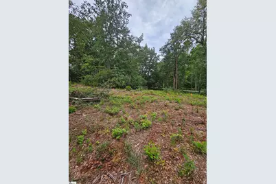 1138 Belue Mill Road, Landrum, SC 29356 - Photo 5