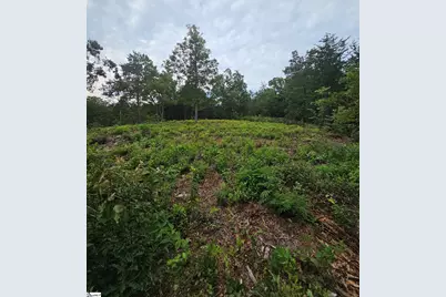 1138 Belue Mill Road, Landrum, SC 29356 - Photo 1