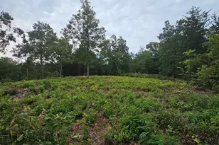 1142 Belue Mill Rd, Landrum, SC 29356 - Photo 1