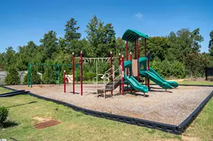 303 Splendid Pl, Simpsonville, SC 29680 - Photo 41