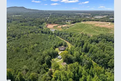 397 Lindsey Lake Road, Travelers Rest, SC 29690 - Photo 47