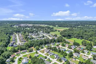2004 Small Meadows Ct, Fountain Inn, SC 29644 - Photo 31