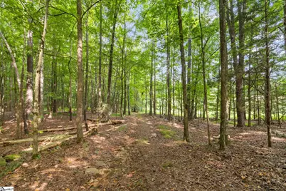 1496 Dixon Road, Laurens, SC 29360 - Photo 13