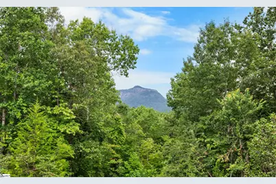 3765 Highway 11, Pickens, SC 29671 - Photo 43