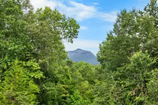 3765 Hwy 11, Pickens, SC 29671 - Photo 43