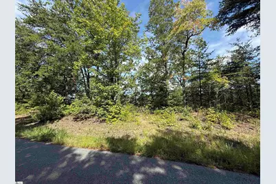 1140 Packs Mountain Ridge Road, Taylors, SC 29687 - Photo 1
