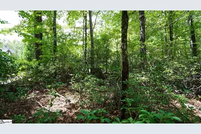 213 Ridge Haven Trail, Travelers Rest, SC 29690 - Photo 3