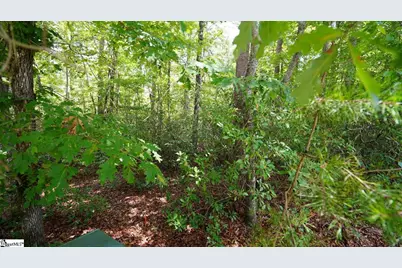 213 Ridge Haven Trail, Travelers Rest, SC 29690 - Photo 5