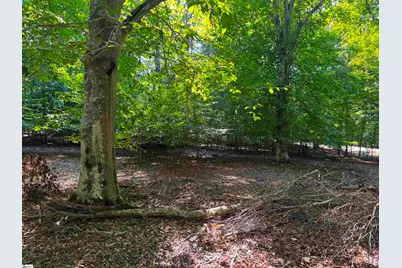 453 Lake Secession Road, Anderson, SC 29621 - Photo 13