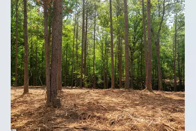 00 Cheek Road #Lot 15, Gray Court, SC 29645 - Photo 17