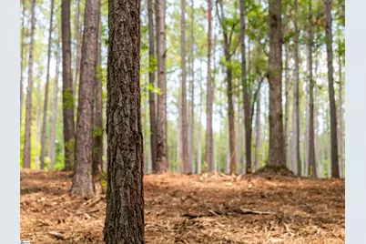 00 Cheek Road #Lot 15, Gray Court, SC 29645 - Photo 19