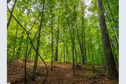 00 Cheek Road #Lot 15, Gray Court, SC 29645 - Photo 21