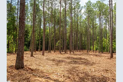 00 Cheek Road #Lot 15, Gray Court, SC 29645 - Photo 13