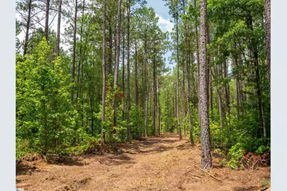 00 Cheek Road #Lot 15, Gray Court, SC 29645 - Photo 9