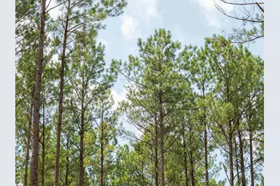 00 Cheek Road #Lot 15, Gray Court, SC 29645 - Photo 15