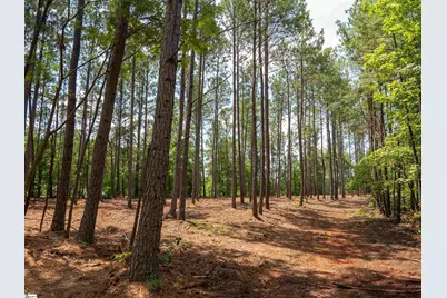 00 Cheek Road #Lot 16, Gray Court, SC 29645 - Photo 9