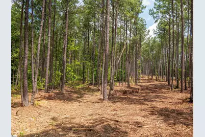 00 Cheek Road #Lot 16, Gray Court, SC 29645 - Photo 7
