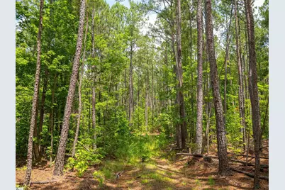 00 Cheek Road #Lot 16, Gray Court, SC 29645 - Photo 15