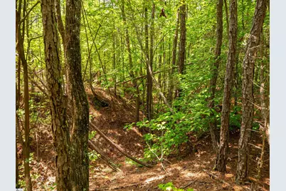 00 Cheek Road #Lot 16, Gray Court, SC 29645 - Photo 13