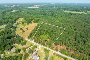 00 Cheek Rd, Gray Court, SC 29645 - Photo 1