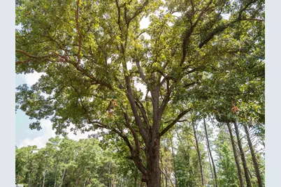 00 Cheek Road #Lot 18, Gray Court, SC 29645 - Photo 17