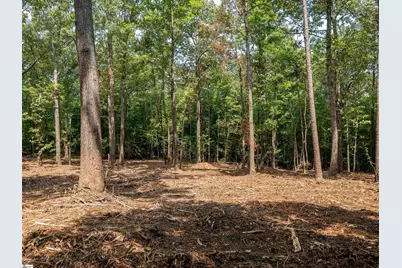 00 Cheek Road #Lot 19, Gray Court, SC 29645 - Photo 15