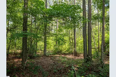 00 Cheek Road #Lot 19, Gray Court, SC 29645 - Photo 13