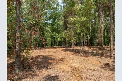 00 Cheek Road #Lot 19, Gray Court, SC 29645 - Photo 11