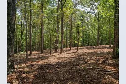 00 Cheek Road #Lot 19, Gray Court, SC 29645 - Photo 17