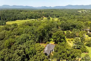 159 Silver Fox Ln, Tryon, NC 28782 - Photo 3