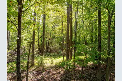 1955 E Georgia Road, Woodruff, SC 29388 - Photo 49