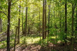 1955 E Georgia Rd, Woodruff, SC 29388 - Photo 49