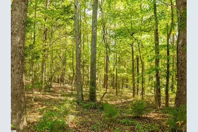 1955 E Georgia Road, Woodruff, SC 29388 - Photo 39