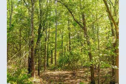 1955 E Georgia Road, Woodruff, SC 29388 - Photo 37
