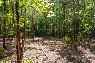 00 Liberty Highway, Liberty, SC 29657 - Photo 13