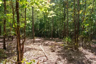 00 Liberty Hwy, Liberty, SC 29657 - Photo 13