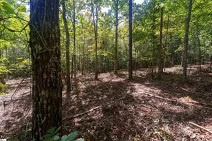00 Liberty Hwy, Liberty, SC 29657 - Photo 15