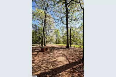 4124 414 Highway, Landrum, SC 29356 - Photo 3