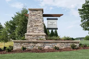 311 Diamond Dr, Powdersville, SC 29611 - Photo 3