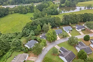 32 Reedy River Way, Greenville, SC 29605 - Photo 39