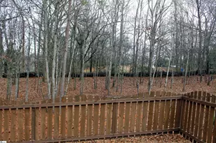 203 Palmetto Farms Way, Pelzer, SC 29669 - Photo 31