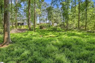 113 Blue Ridge Dr, Fountain Inn, SC 29644 - Photo 3