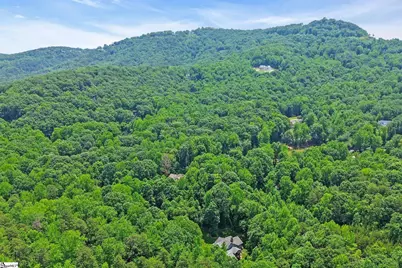 50 Pleasant Valley Trail, Travelers Rest, SC 29690 - Photo 41