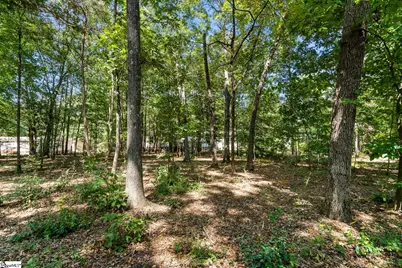 429 Gibson Road, Anderson, SC 29625 - Photo 45