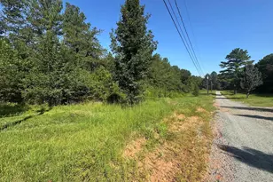 162 Lancaster Rd, Forest City, NC 28043 - Photo 13