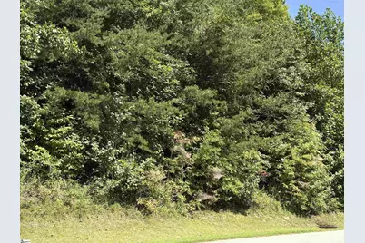100 Cottage Side Trail, Travelers Rest, SC 29690 - Photo 7