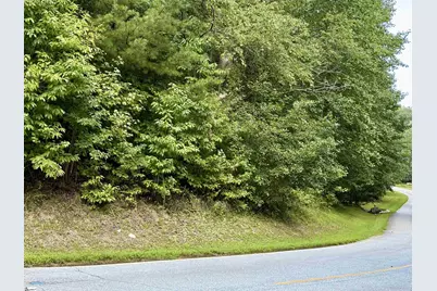 100 Cottage Side Trail, Travelers Rest, SC 29690 - Photo 3