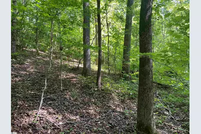 297 Woodall Mountain Road, Pickens, SC 29671 - Photo 29