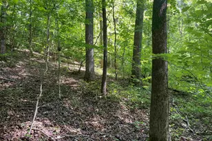 297 Woodall Mountain Rd, Pickens, SC 29671 - Photo 29