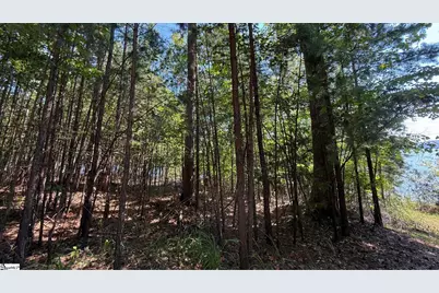 581 Big Creek Way, Salem, SC 29676 - Photo 17